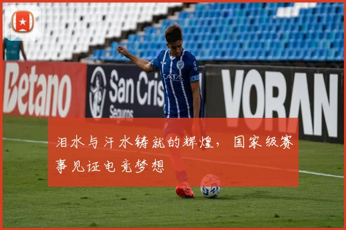 泪水与汗水铸就的辉煌,国家级赛事见证电竞梦想