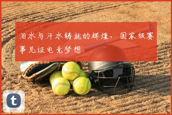 泪水与汗水铸就的辉煌，国家级赛事见证电竞梦想